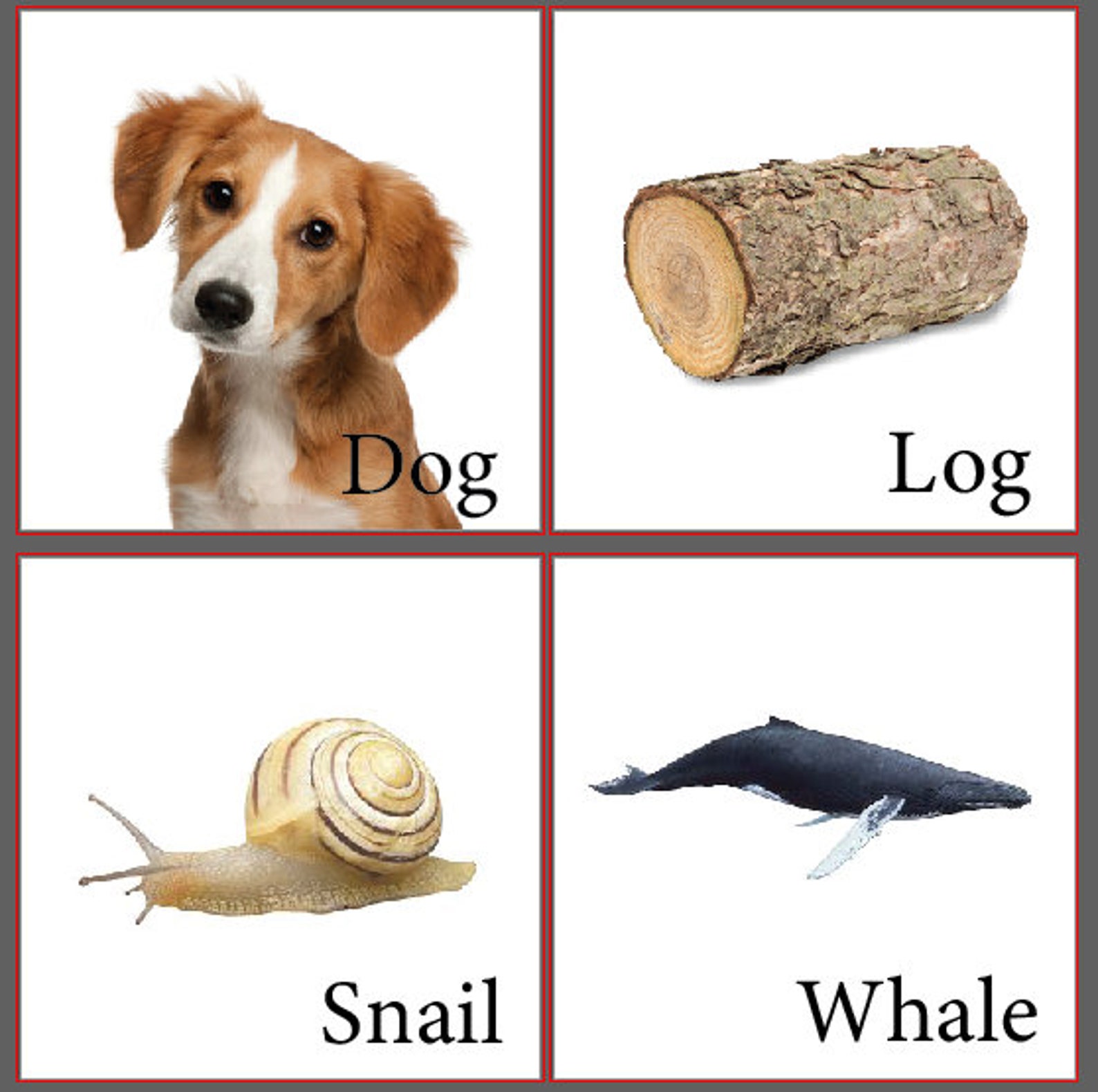 Downloadable Set of 6 Rhyming Montessori Nomenclature Cards