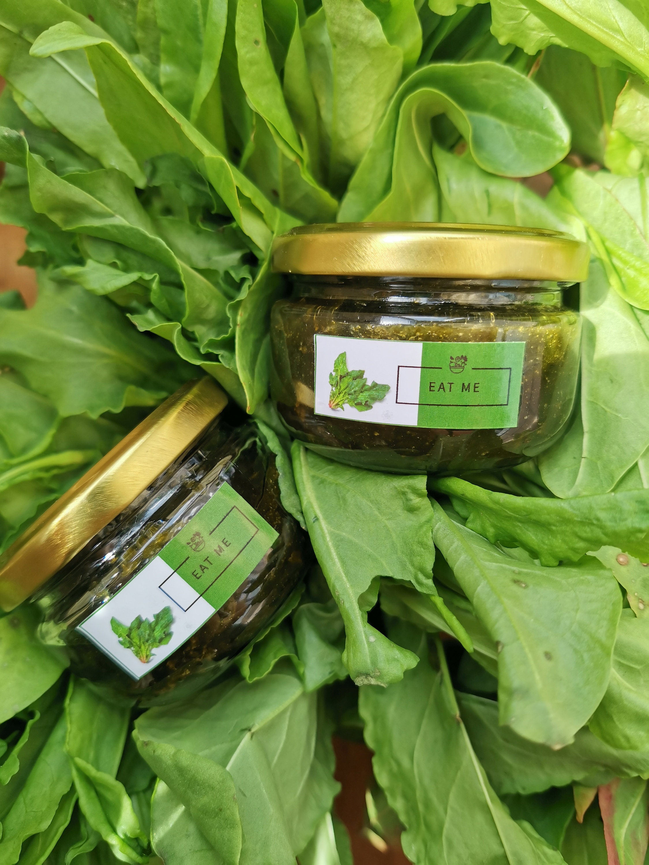Sorrel jam Etsy