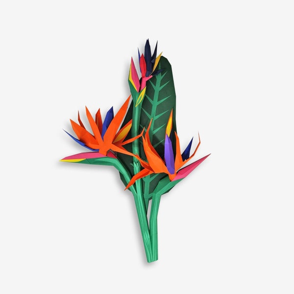 DIY Papercraft Strelitzia flower,lowpoly strelitzia dxf,papercraft flower,3d flower templates,Strelitzia templates,flower wall decor,3d prop