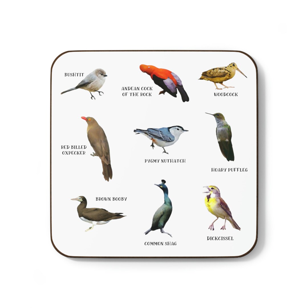 Fowl Language Bird Coasters Funny, Nice Tits Bird, Bird Lover Gift