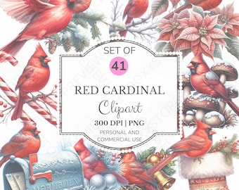 Watercolor Cardinal Clipart Bundle: Christmas Holiday Birds (Digital Download)