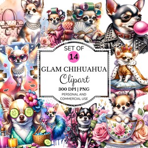 Bundle glam Chihuahua Clipart PNG, Illustrations de chien mode aquarelle, ensemble de Sublimation de chiot impertinente d'attitude, téléchargement numérique d'art de chien