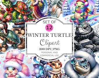 Winter Turtle Clipart Set: Holiday PNG Stickers (Digital Download, 5000x5000 px)