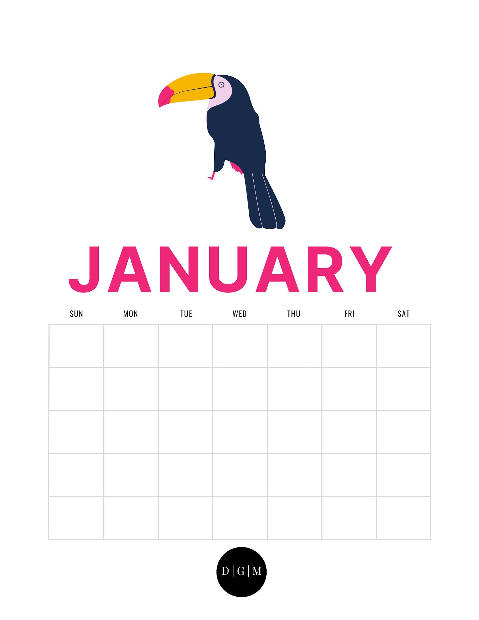 Printable Bird Calendar | 12 Page Blank Monthly Printable Calendar | 12 ...