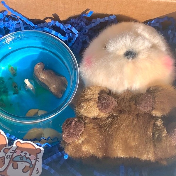 Customized Stuffed Otter - Etsy
