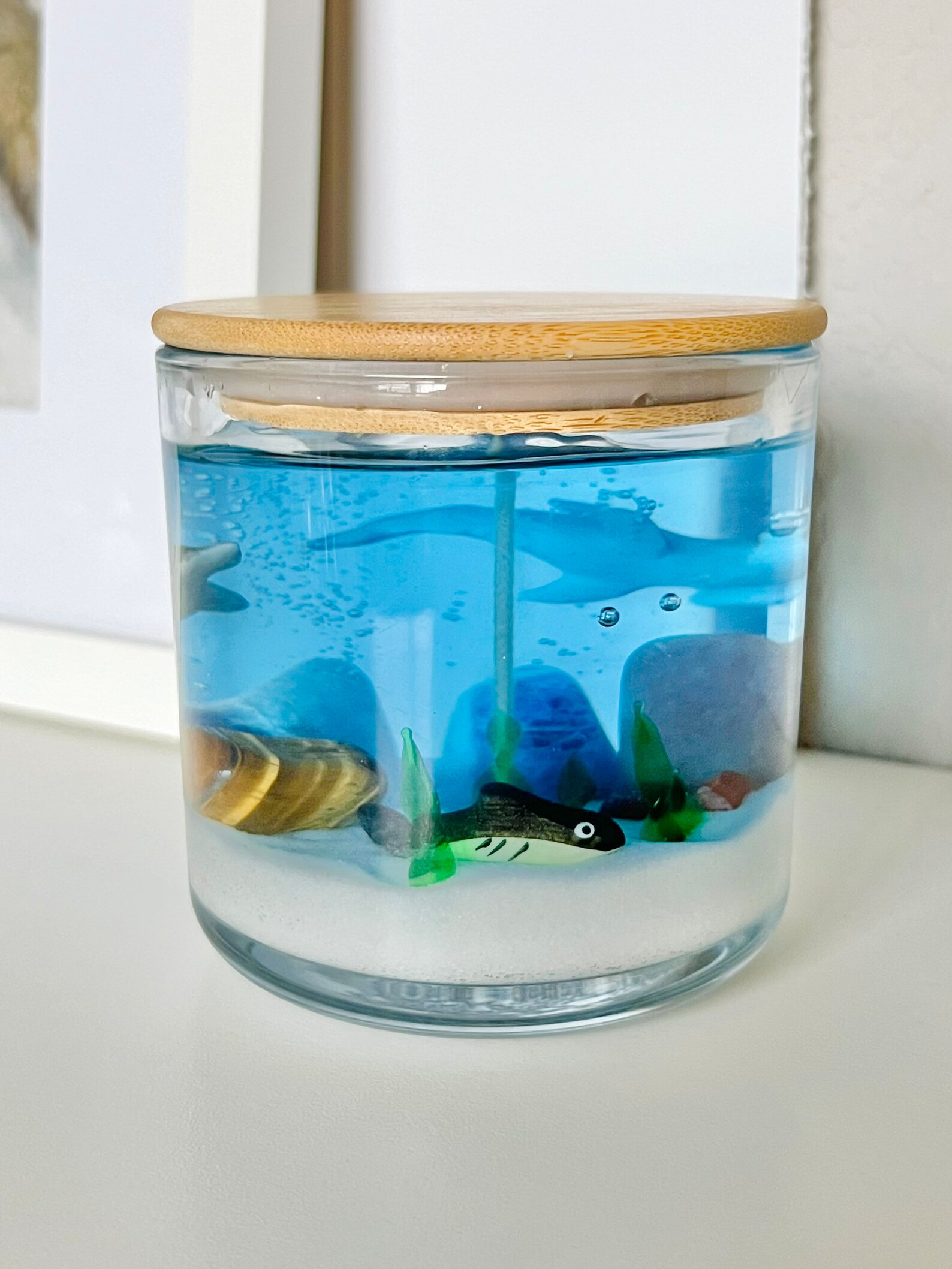 Shark Tank Candle Shark Decor Shark Decorations Shark Etsy