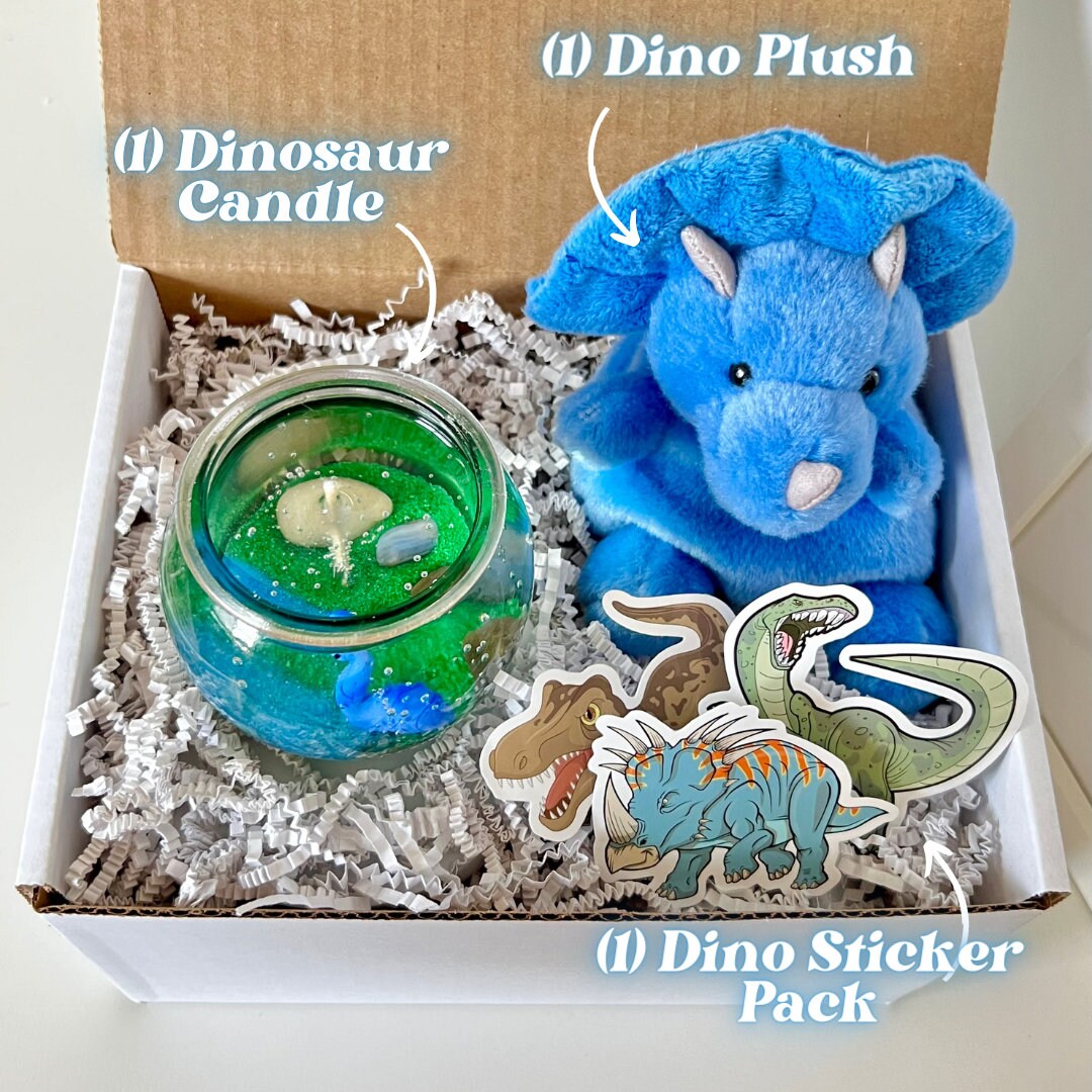Dinosaur Gift Box Dinosaur Gifts Dinosaur Gifts for Dinosaur Gift