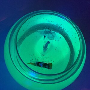 Glow in the Dark Fishbowl Candle, Glow in the Dark Candle, Bathroom Candle Decor, Summer Decor, Beach Themed Decor image 7