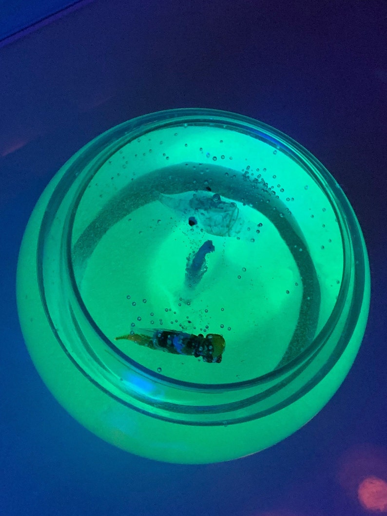 Glow in the Dark Fishbowl Candle, Glow in the Dark Candle, Bathroom Candle Decor, Summer Decor, Beach Themed Decor image 7