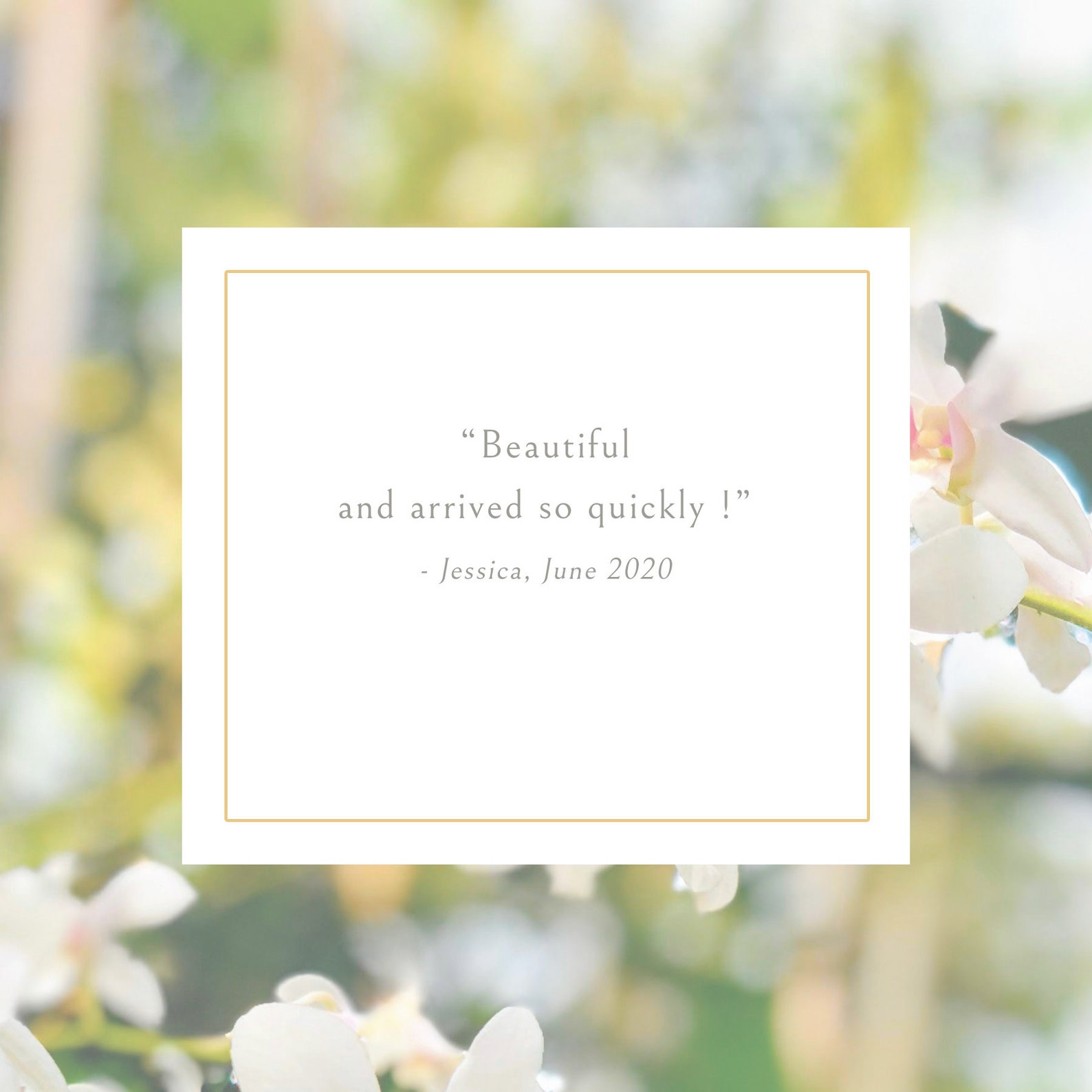 Where are palm trees native image