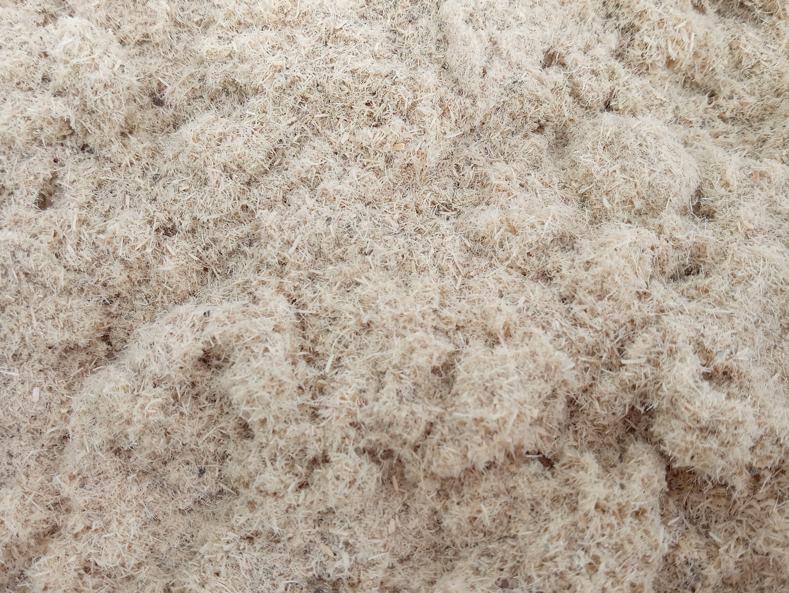 Bitter Wood Bark Powder Organic Detox jamaican Wildcrafted Etsy