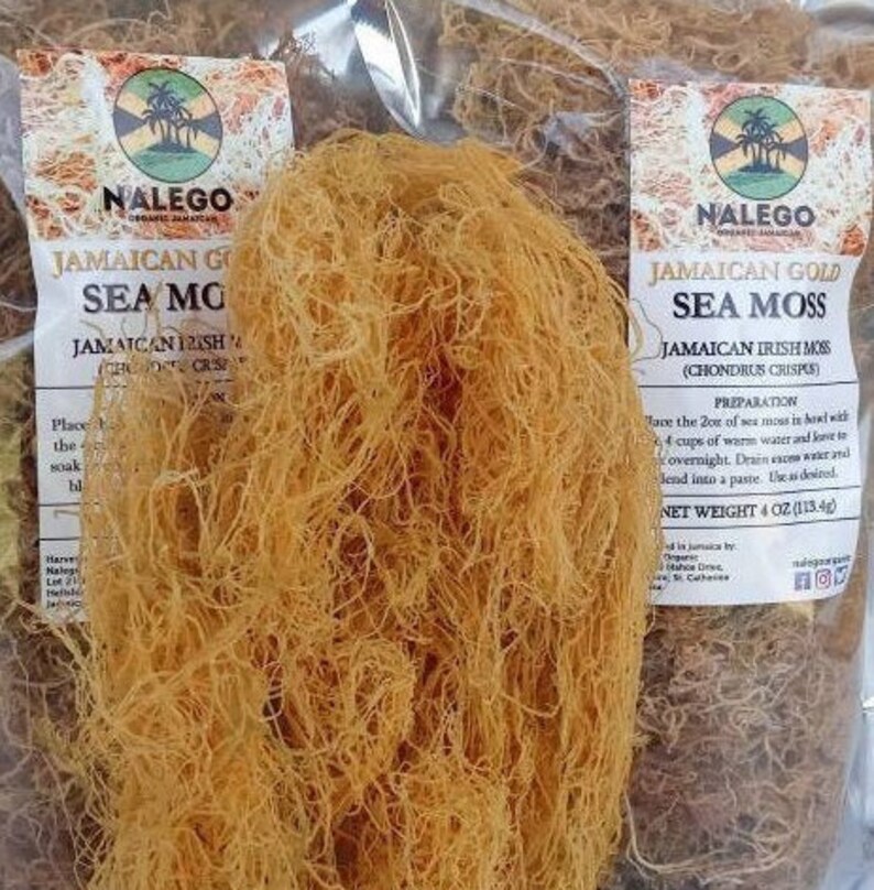 Jamaican Gold Sea Moss Jamaican Irish Moss Etsy