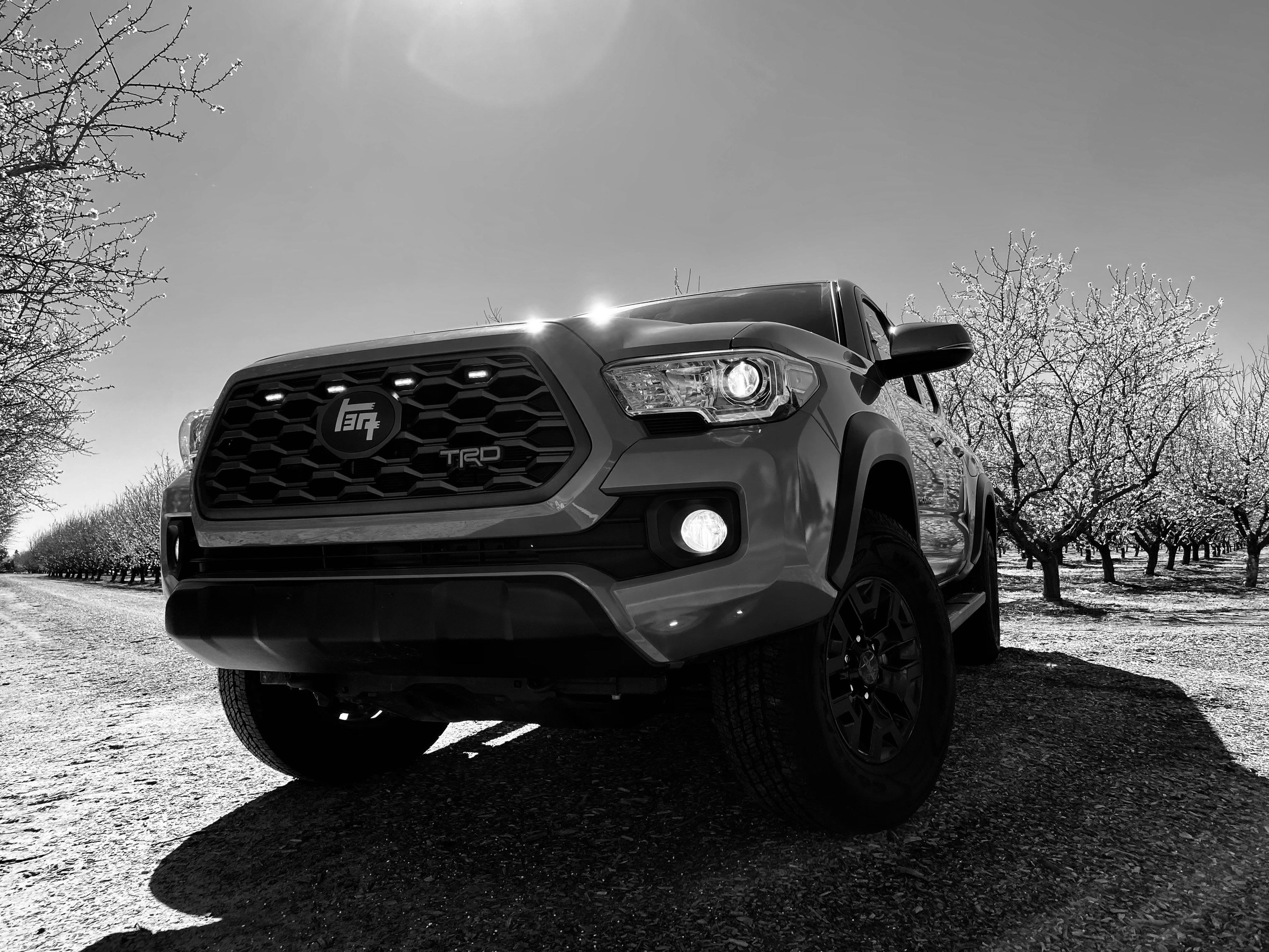 2021 Toyota Tacoma Bull Bar