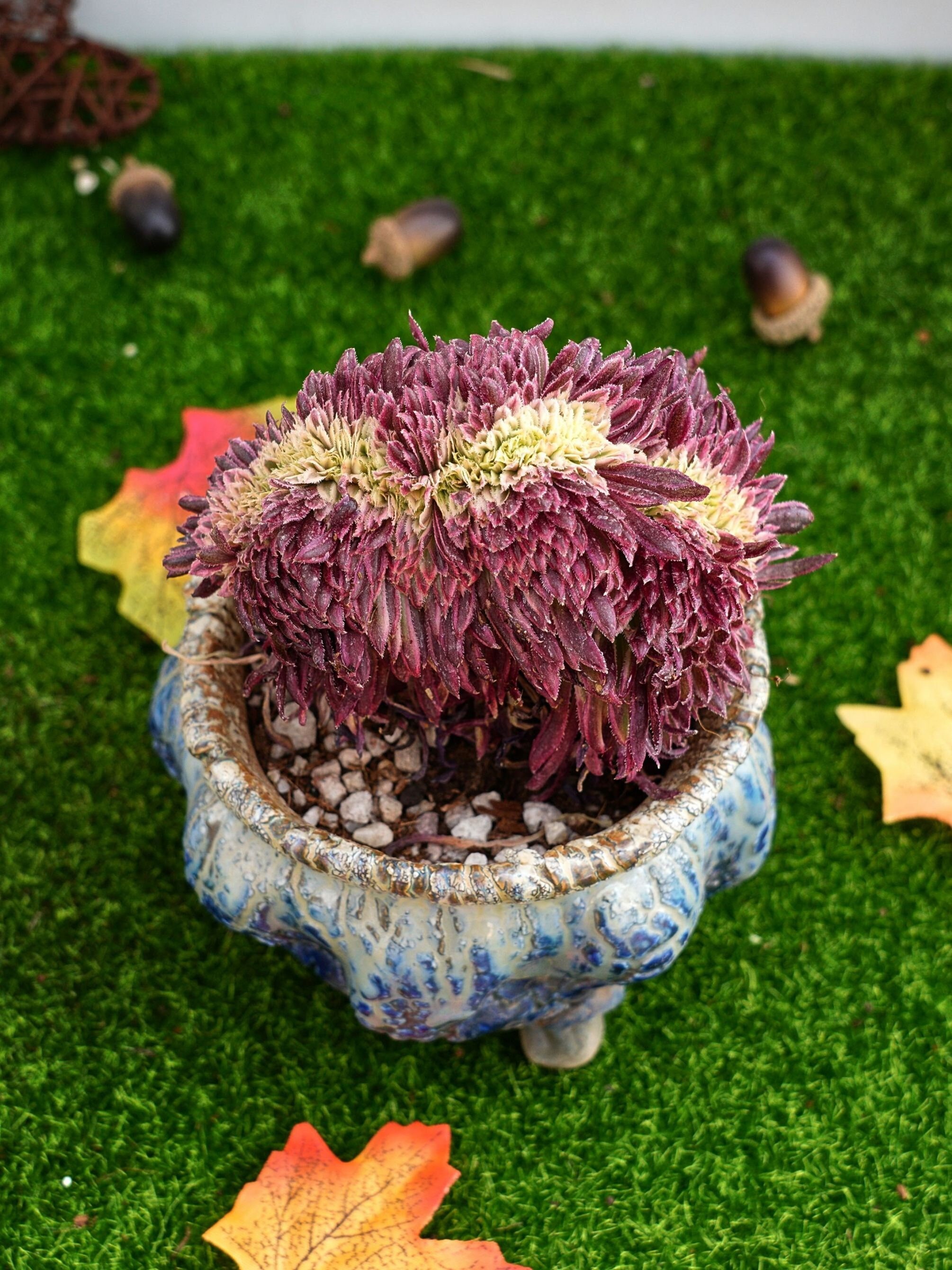 Maysオーダーページ•*¨*•.¸¸♬ MaySlateArt - Etsy 日本