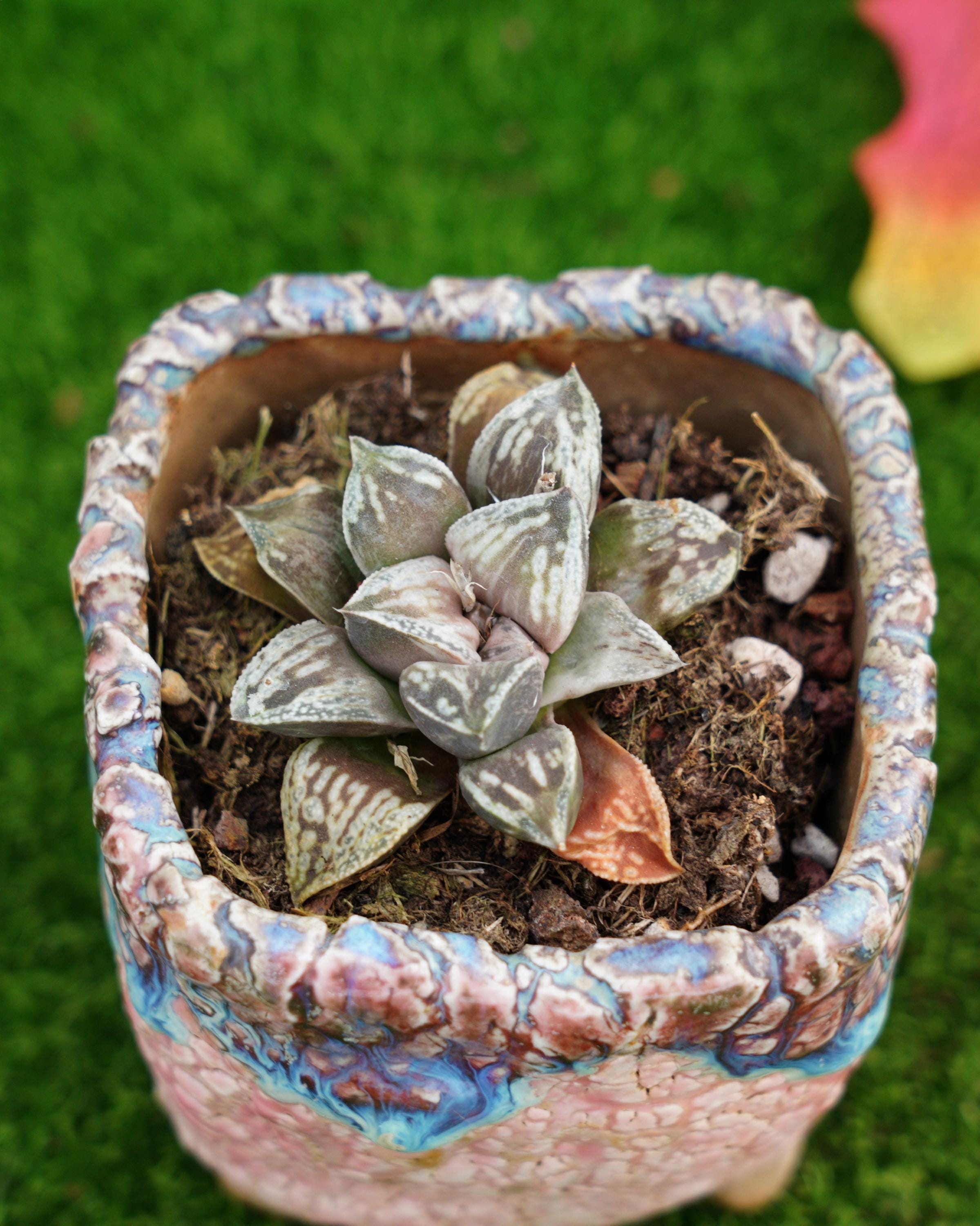 MaySlateArt - Etsy 日本