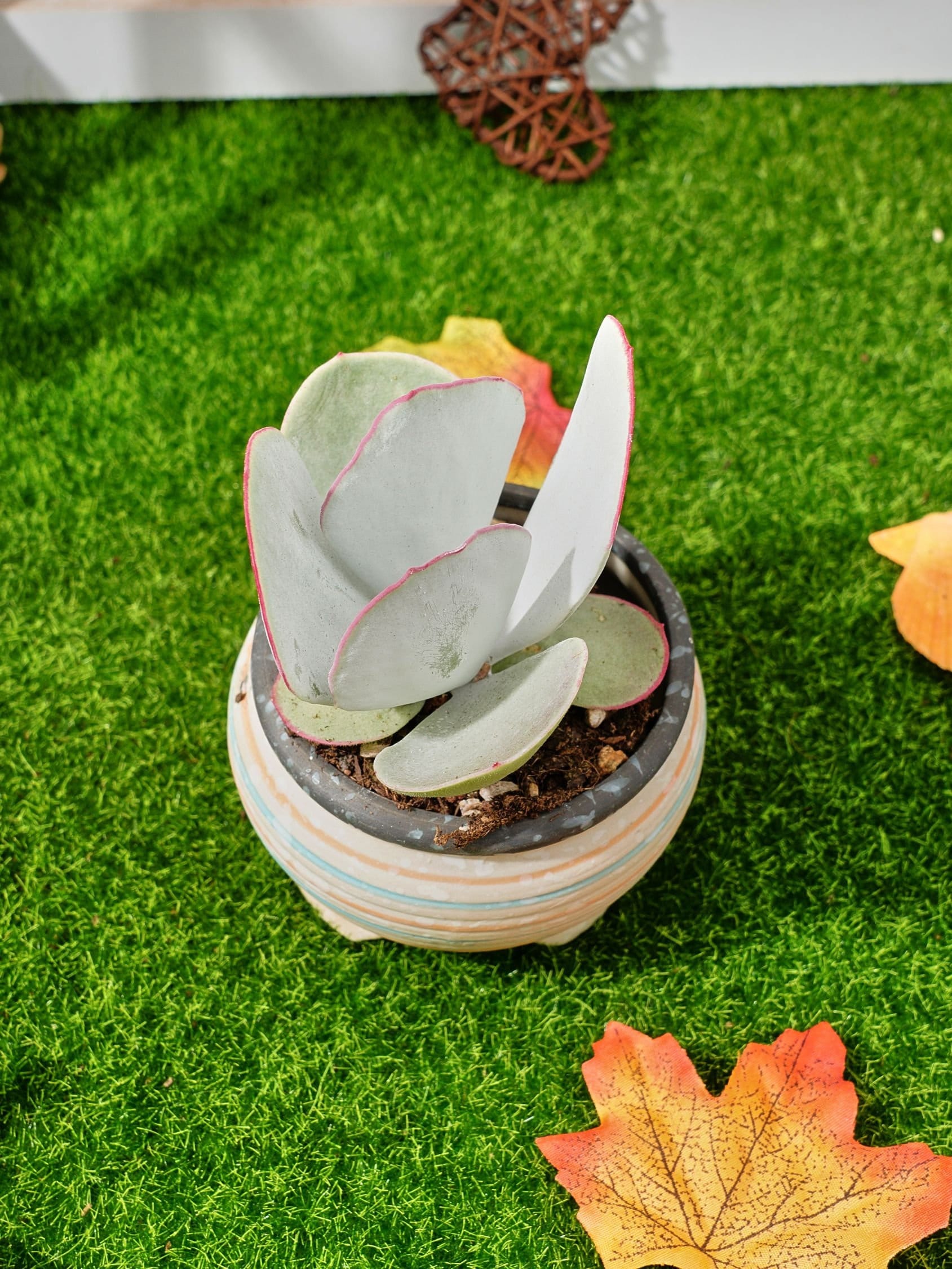 MaySlateArt - Etsy 日本