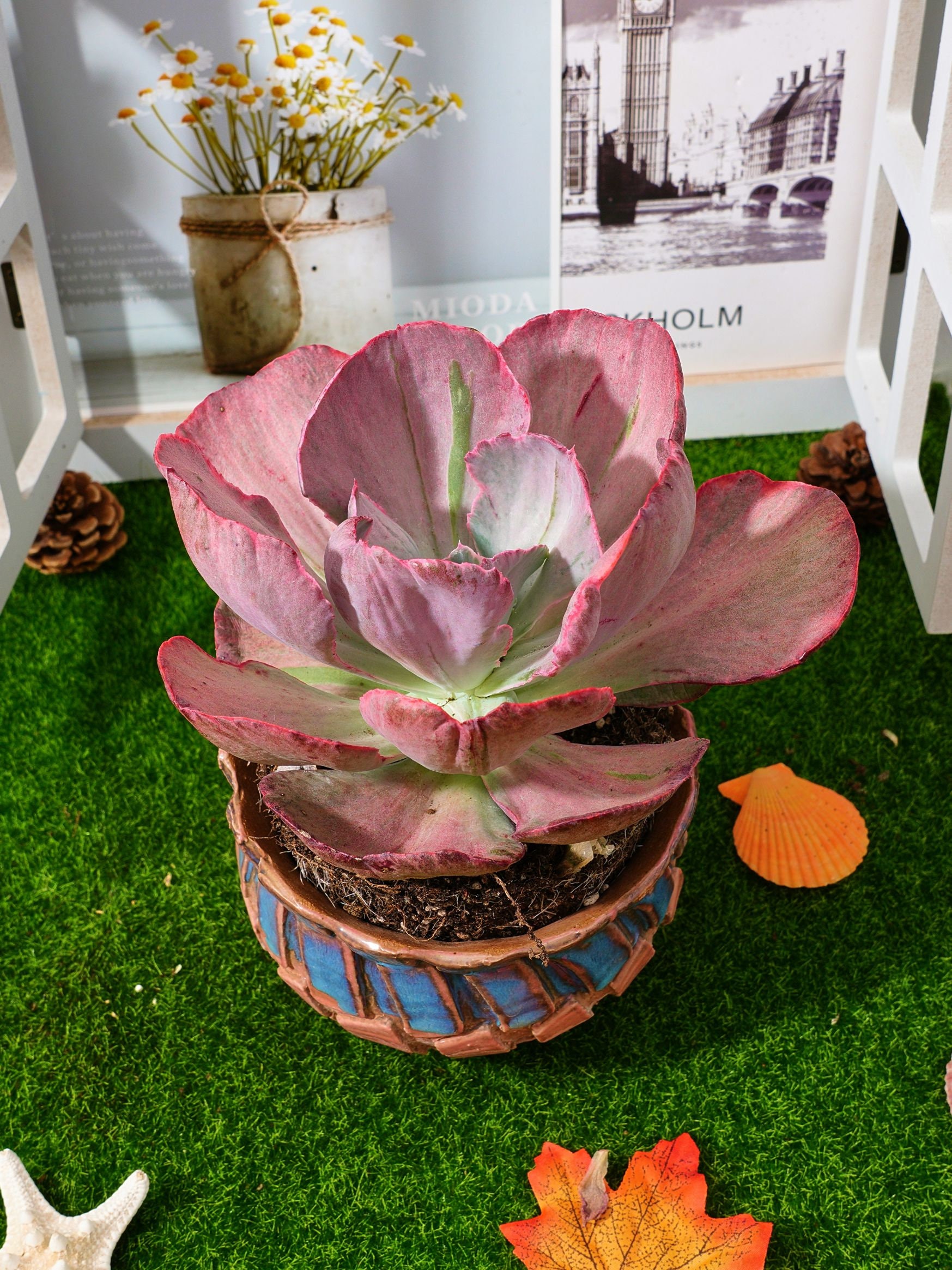 MaySlateArt - Etsy 日本