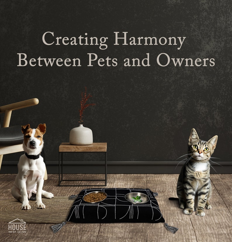 Premium 304 Stainless Steel Dog & Cat Bowls Modern, Changeable, No