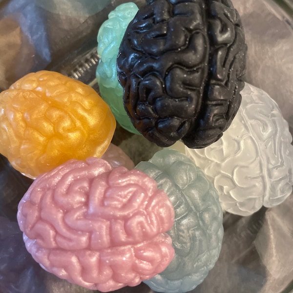 Jar of Brains | Novelty Horror Soap | 10 oz Glass Jar and 5 Brain Soaps | Activated Charcoal | Unscented | Fragrance Free