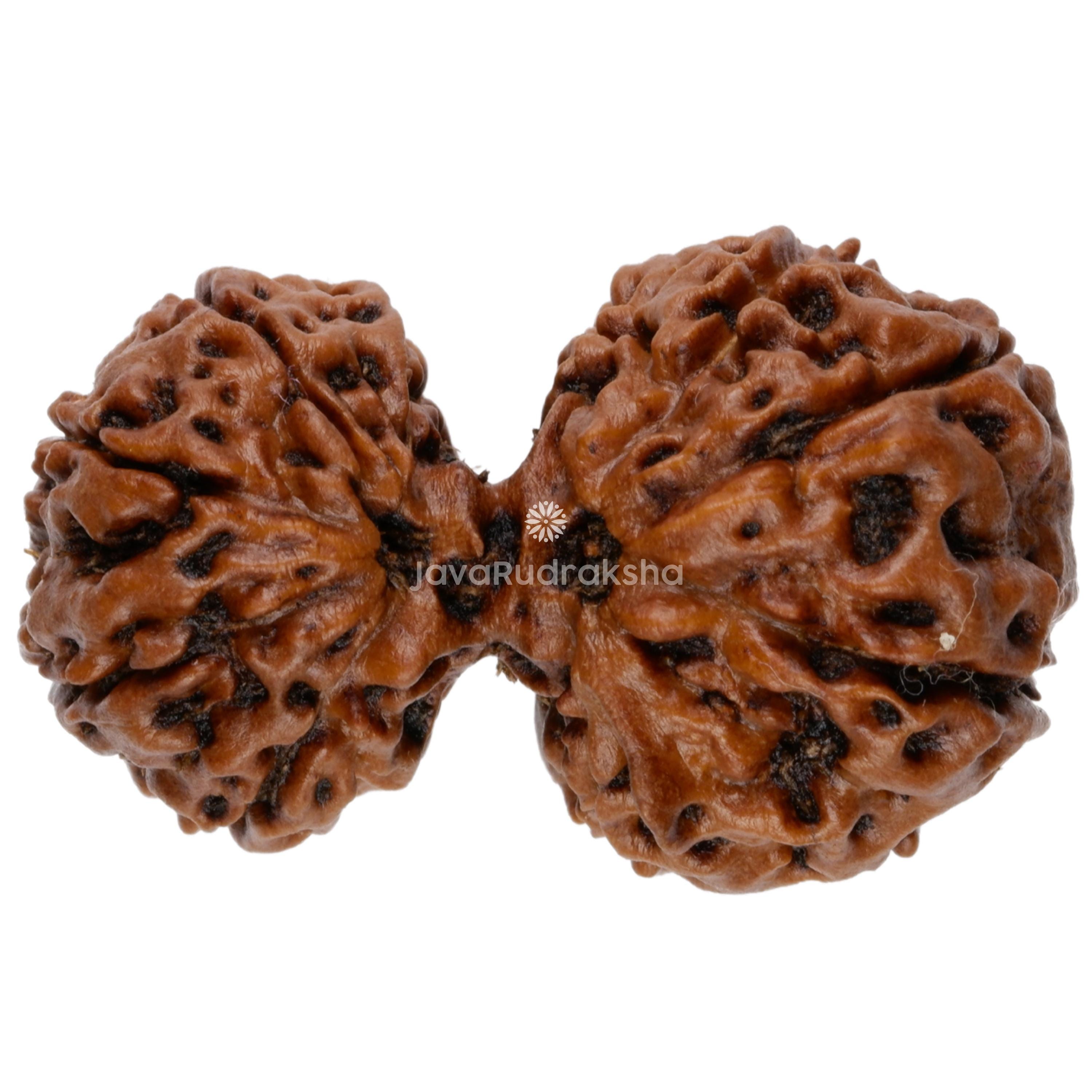 ✰︎‪ 琥珀 ✰ ✰︎　ルドラクシャマーラー　トップガウリシャンカラ　④ 楽天市場】ルドラクシャ マーラの通販