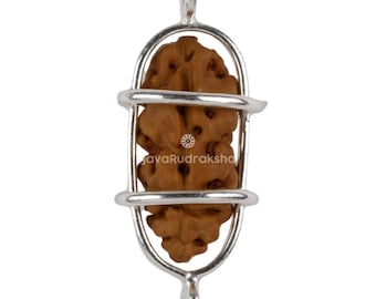 1 Mukhi Rudraksha 15,39 mm Java Bead / Collezionista di grado A / Autentica guarigione sacra naturale Ek Mukhi in gabbia d'argento 925