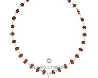 Indra Mala Rudraksha 1–21 Mukhi Java Perline / Trijuti Gauri Shankar Ganesh Nirakar / Argento sterling 925 IM04