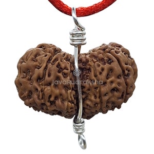 May include: A brown rudraksha seed pendant with a silver wire wrap, attached to a red cord.
