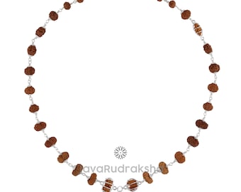 Indra Mala Rudraksha 1–21 Mukhi Java Perline / Trijuti Gauri Shankar Ganesh Nirakar / Argento sterling 925 IM05