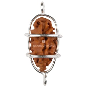 1 Mukhi Rudraksha Java-kraal 14,13 mm | Grote klasse A | Echte natuurlijke heilige genezing Ek Mukhi in 925 zilveren kooi