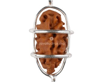 1 Mukhi Rudraksha 14,13 mm Java Bead / Grado A Grande / Autentico Ek Mukhi di guarigione sacra naturale in gabbia d'argento 925