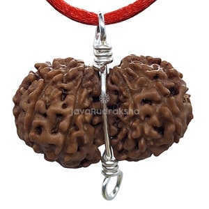 Grade A | Gauri Shankar 12 Mukhi Rudraksha 21.88 mm Large Size in 925 Sterling Silver Wire | Java Indonesia Original Authentic Natural Bead