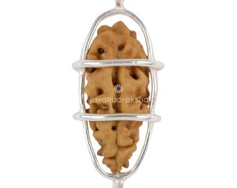 1 Mukhi Rudraksha 17.02 mm Java Bead | Grade A Super Collector | Genuine Natural Sacred Healing Ek Mukhi in 925 Silver Cage