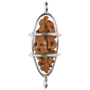 May include: A pendant featuring a brown, textured seed encased in a silver-coloured metal cage. The seed has a unique, organic shape. The pendant has a loop at the top for a chain and a small loop at the bottom.