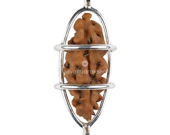 1 Mukhi Rudraksha 17,00 mm Java Bead / Grado A Super Collector / Autentico Ek Mukhi naturale sacro curativo in gabbia d'argento 925