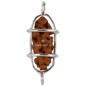 Pode incluir: Um pingente de contas Rudraksha marrom envolto em uma gaiola de metal prateado. O pingente tem uma superfície texturizada e é suspenso por uma argola na parte superior e inferior. O texto "JavaRudraksha" é visível.