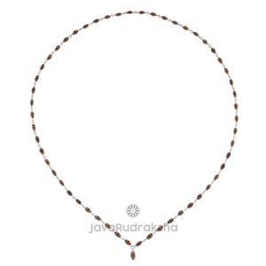 Grade A | Ek 1 Mukhi Java Rudraksha Mala in 925 Sterling Silver Locket 54+1 Small Beads | Original Natural Seed Hindu Prayer Bead