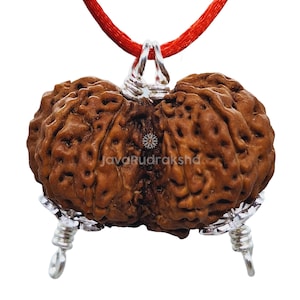 May include: A brown Rudraksha pendant with two beads connected by a silver wire, hanging from a red cord.