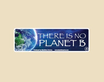 There Is No Planet B Small Bumper Sticker- environmentalist, environment, climate change, sustainability, recycling, recycle, global warming