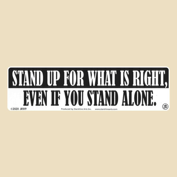Stand Up For What Is Right Small Bumper Sticker- Stand Up, Stand Alone, Activist, Truth, laptop sticker, car sticker, decal, election
