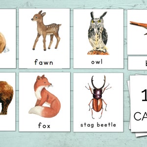 Woodland Animals montessori imprimables, cartes montessori en trois parties, cartes mémoire montessori pour les tout-petits, la maternelle, l'école maternelle et la garderie