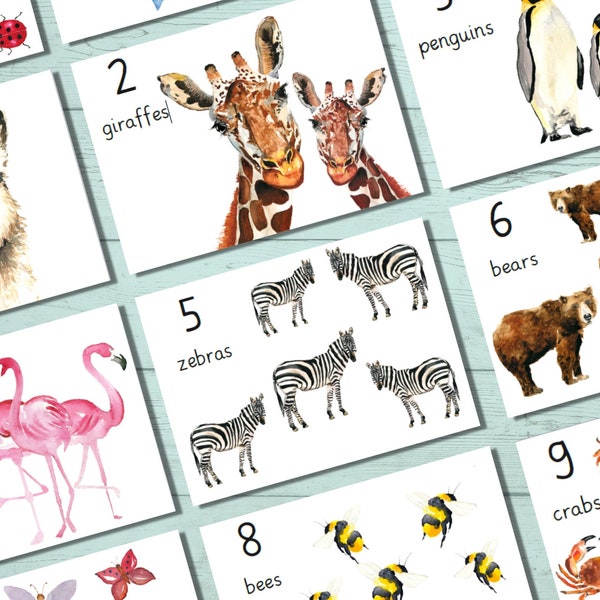 animal number cards, montessori counting flashcards for kindergarten, preschool and daycare, direct download
