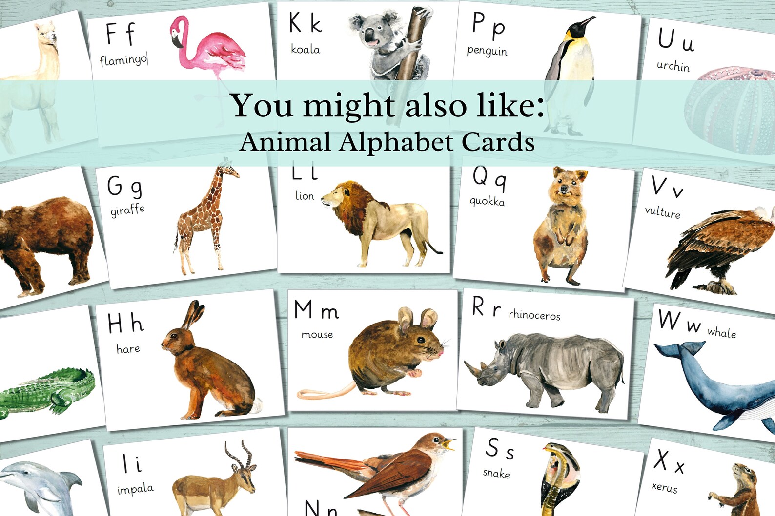 Dinosaurs Montessori Printable, Montessori Three Part Cards, Montessori ...