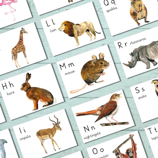 animal alphabet cards, montessori letter flashcards for kindergarten, preschool and daycare, direct download