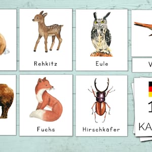 Woodland Animals montessori imprimable, cartes en trois parties montessori, cartes mémoire montessori pour les tout-petits et les enfants d'âge préscolaire