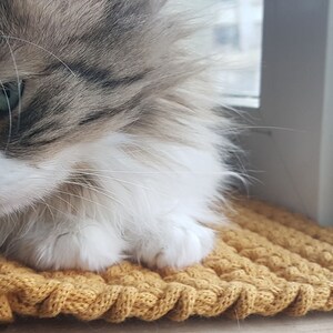 May include: A fluffy, white and brown cat with green eyes is lying on a yellow knitted rug. The cat is looking down and its paws are visible.
