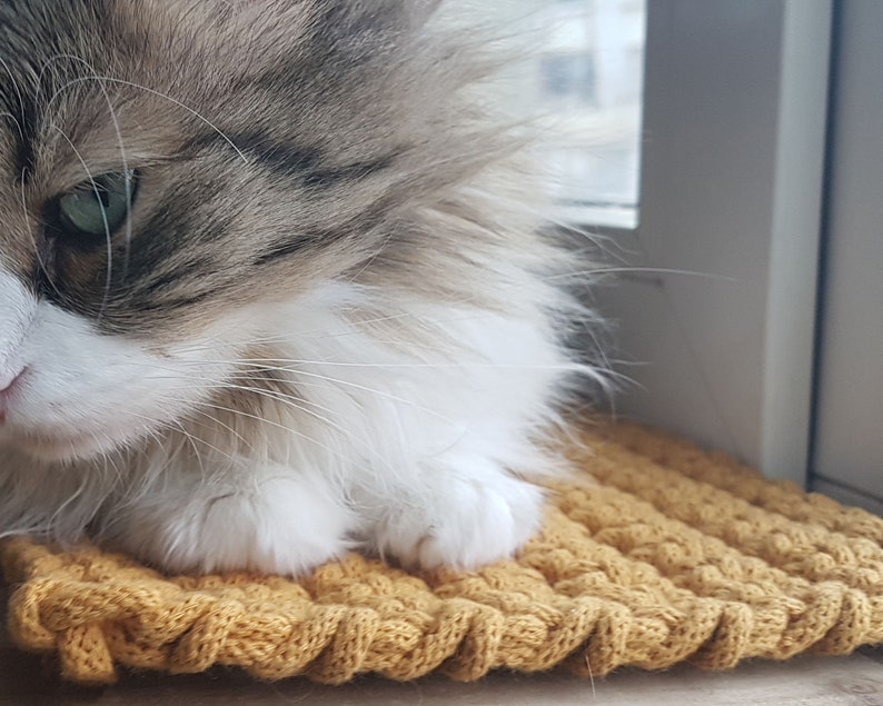May include: A fluffy, white and brown cat with green eyes is lying on a yellow knitted rug. The cat is looking down and its paws are visible.