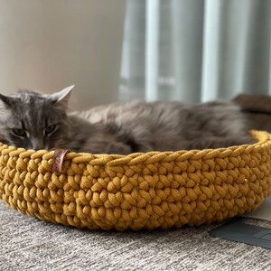 Puede incluir: Un gato gris descansando en una cama de gato de crochet amarillo.