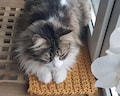Cat Windowsill Mat, Handmade Cat Window Perch Cover, Custom Windowsill Cushion, Chunky Knit Cat Bed, Washable Cat Window Mat product logo