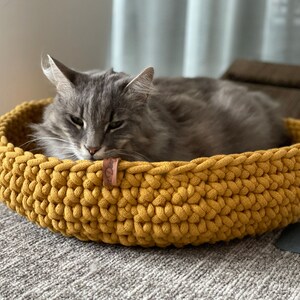 Puede incluir: Un gato gris descansando en una cama de gato de crochet amarillo.