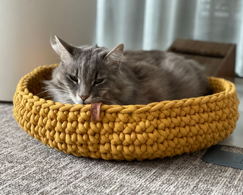 Puede incluir: Un gato gris descansando en una cama de gato de crochet amarillo.